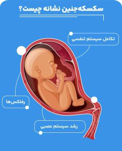 علائم سکسکه جنین در رحم مادر چیست؟