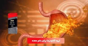 قهوه گانودرما برای گوارش: تقویت سیستم گوارشی با قارچ شفا بخش