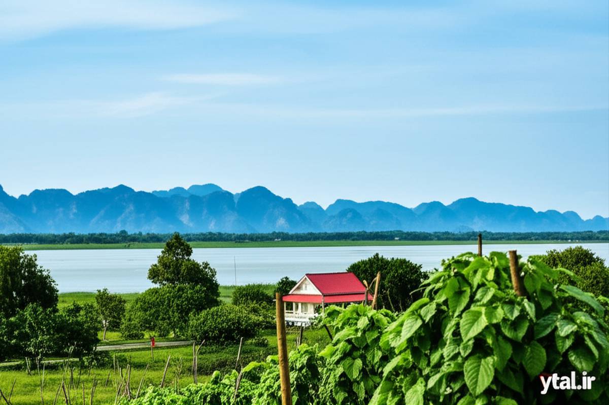 کمپوت در کامبوج (Kampot)