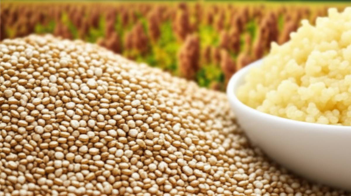 دانه کینوا چیست؟ | راهنمای جامع خواص و فواید کینوا